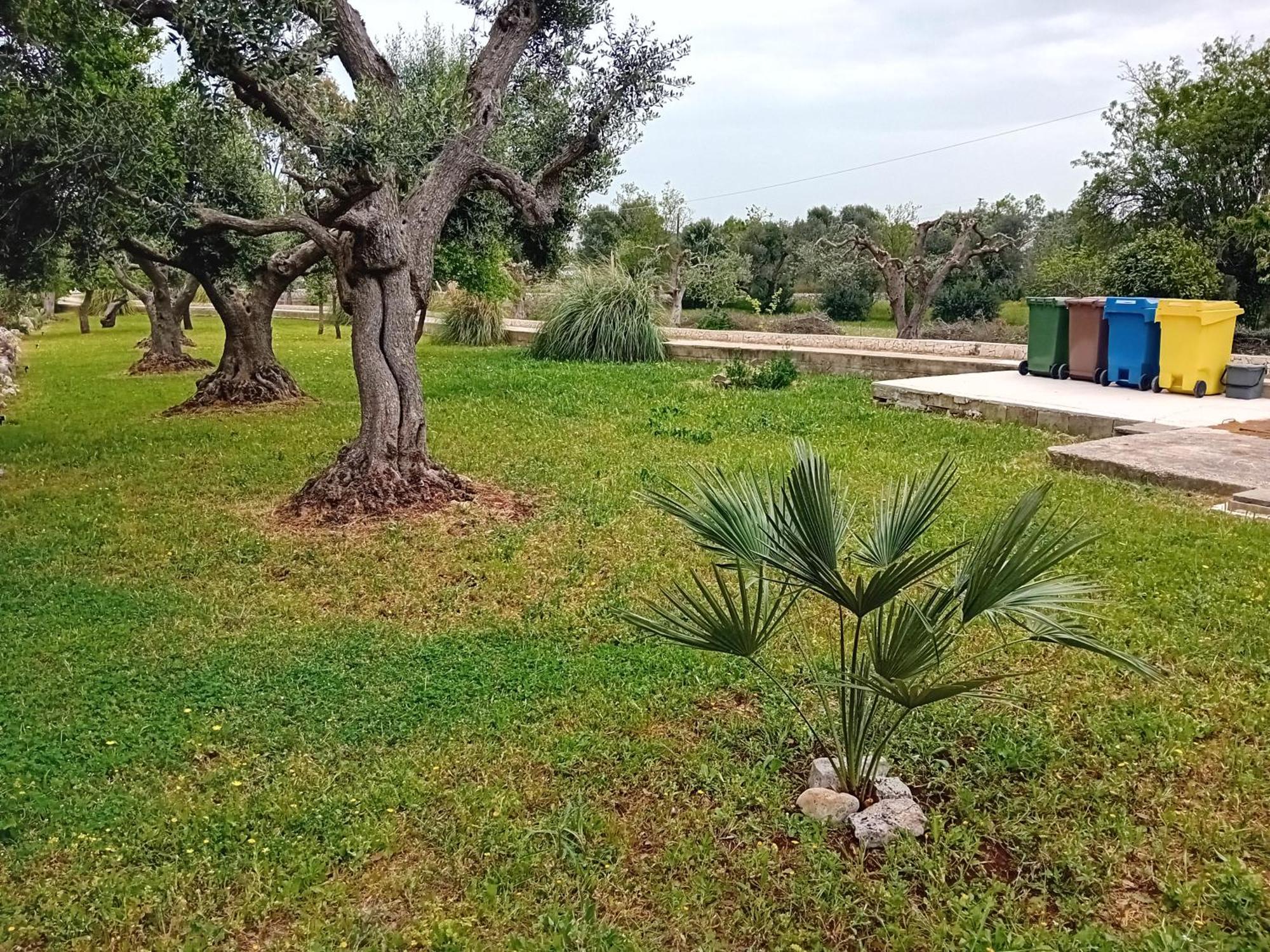 Villa Il Leccio - Trulli Чистернино Екстериор снимка